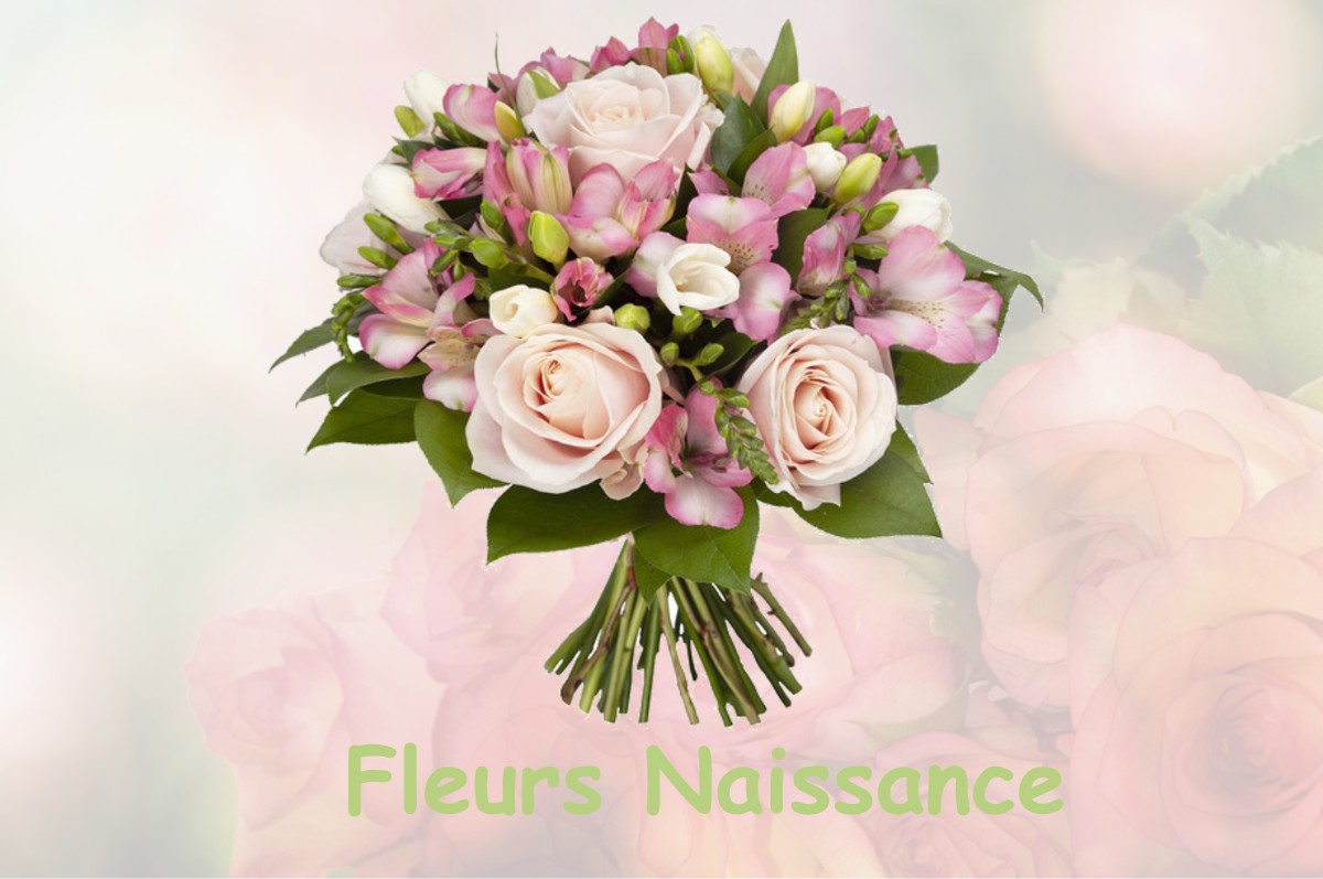 fleurs naissance SAINT-PATRICE-DE-CLAIDS